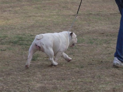 public/immagini/img_big/a2s7z3w.jpg