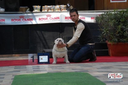 public/immagini/img_big/f0m0y4s.jpg