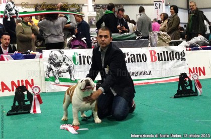 public/immagini/img_big/k3p7s3f.jpg