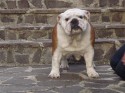 public/immagini/img_small/j2l7y7p.jpg