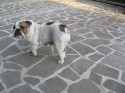 public/immagini/img_small/s6h2h2m.jpg.jpg