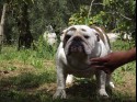 public/immagini/img_small/t3i4l5p.jpg.jpg