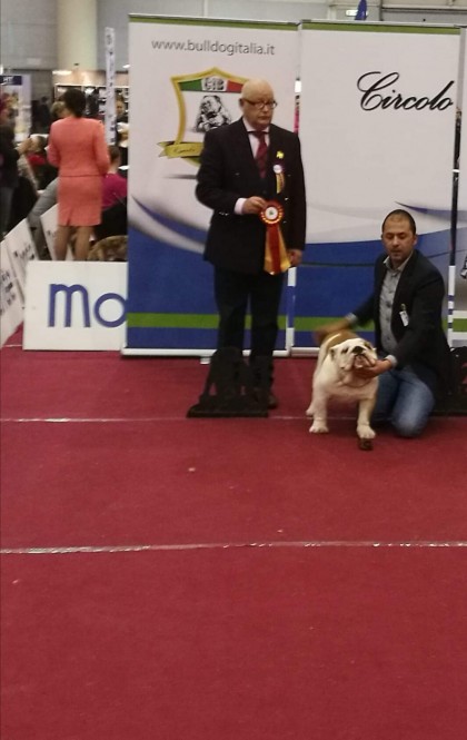 RADUNO BULLDOG ROMA 2018